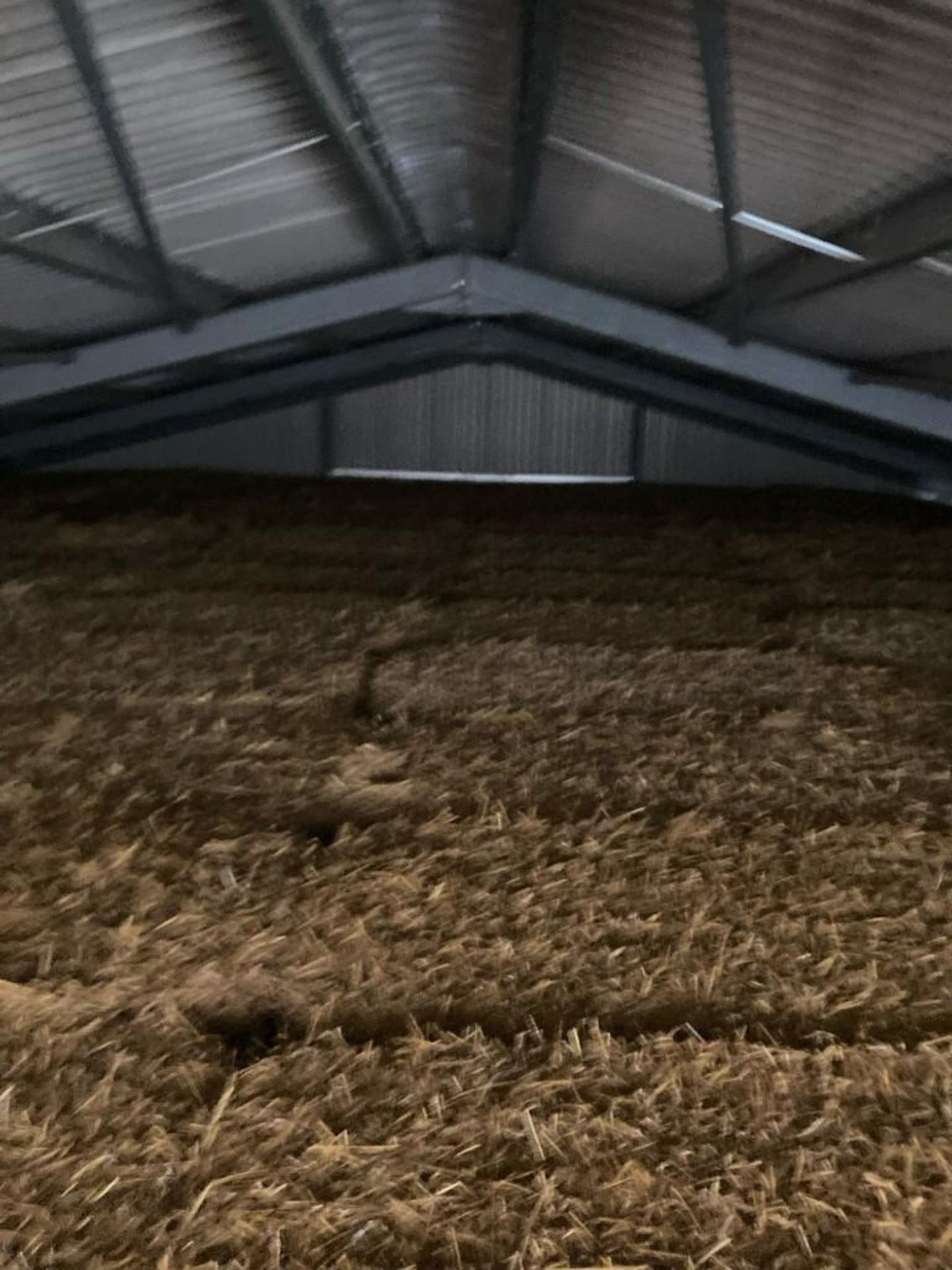 108 Bales of 2021 Wheat Straw - Image 3 of 4