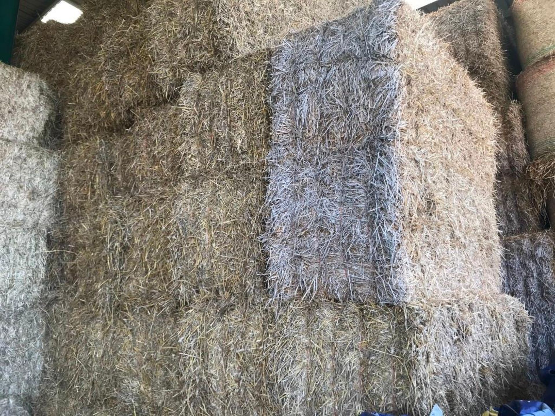 40 Heston Bales of Winter Wheat - Image 3 of 6