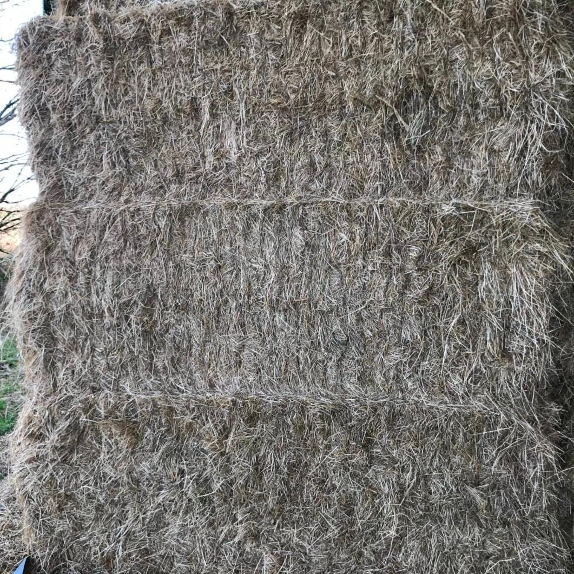 40 Heston Bales of Hay - Image 2 of 12
