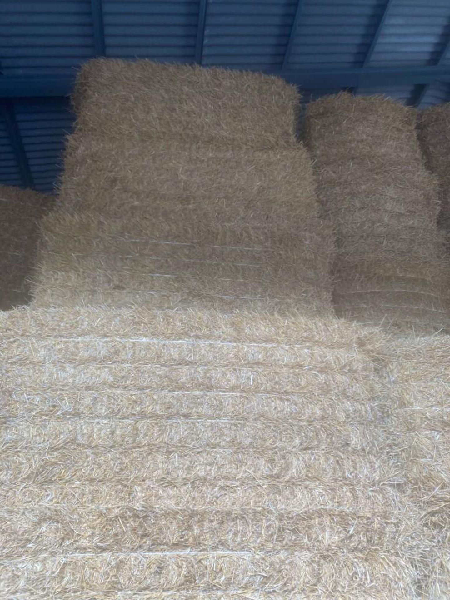 144 Bales of 2021 Wheat Straw - Image 2 of 4