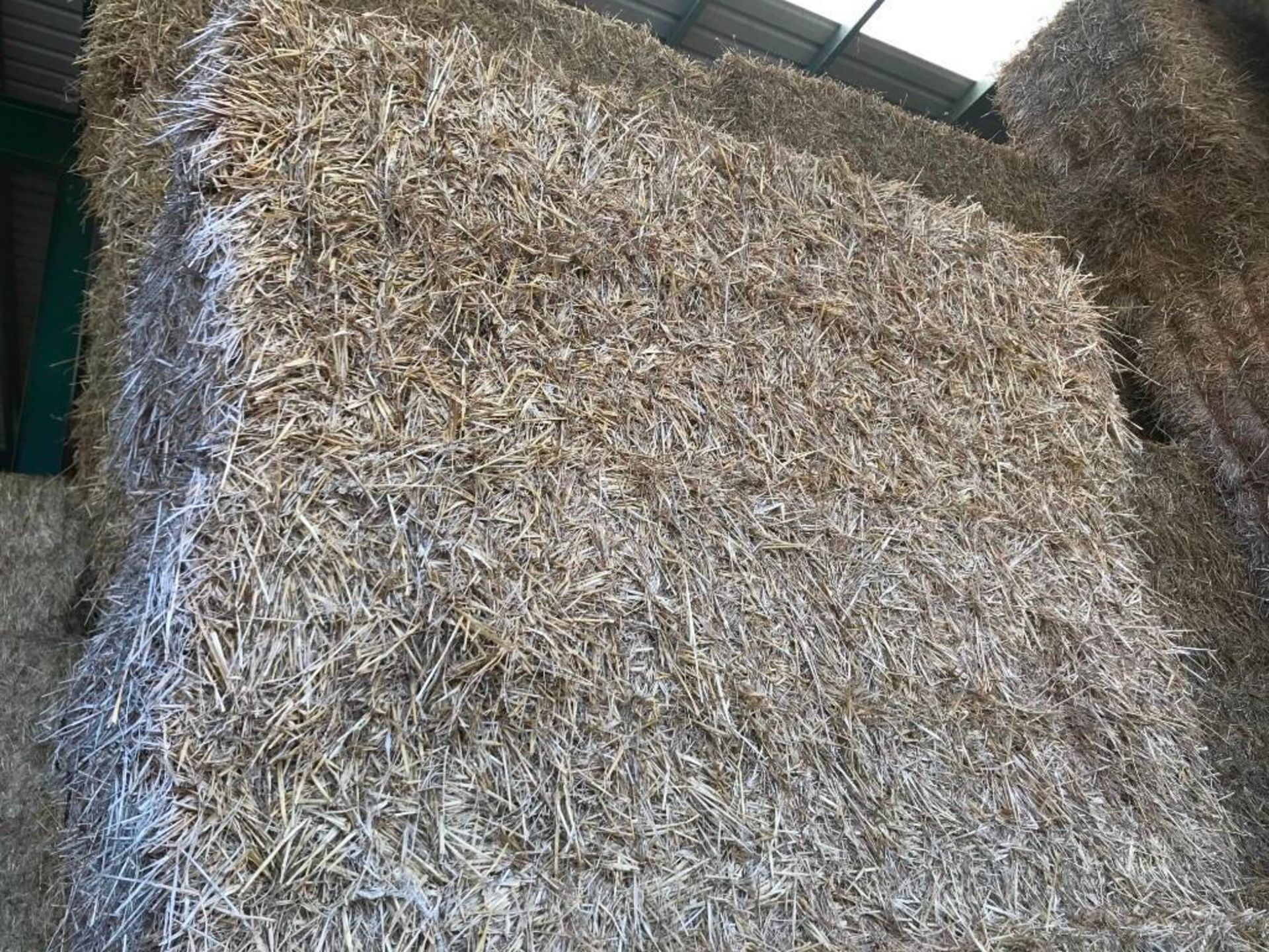 40 Heston Bales of Winter Wheat - Image 6 of 6