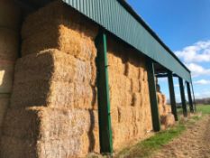 10 Heston Bales of Winter Wheat