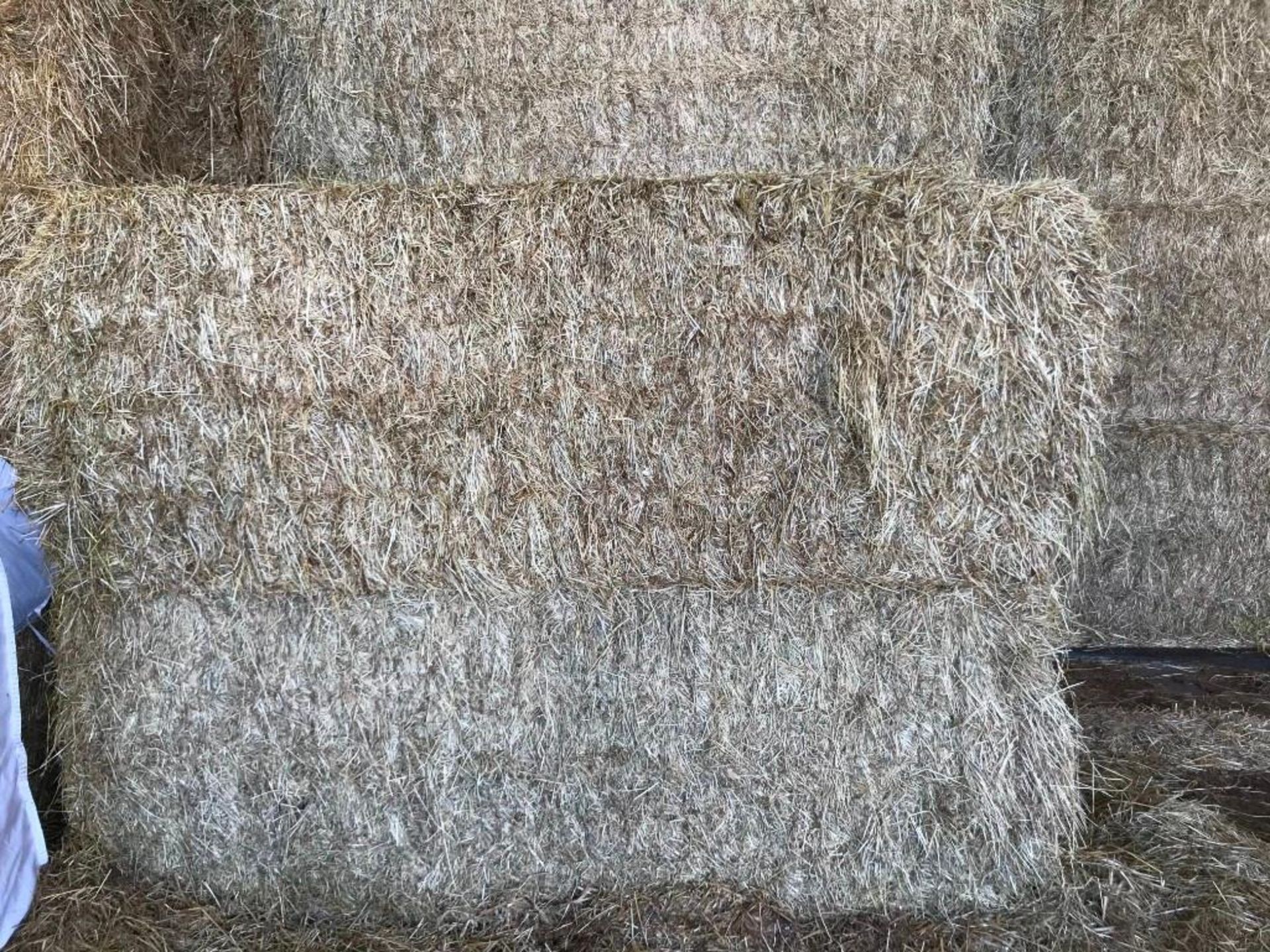 40 Heston Bales of Hay - Image 6 of 12
