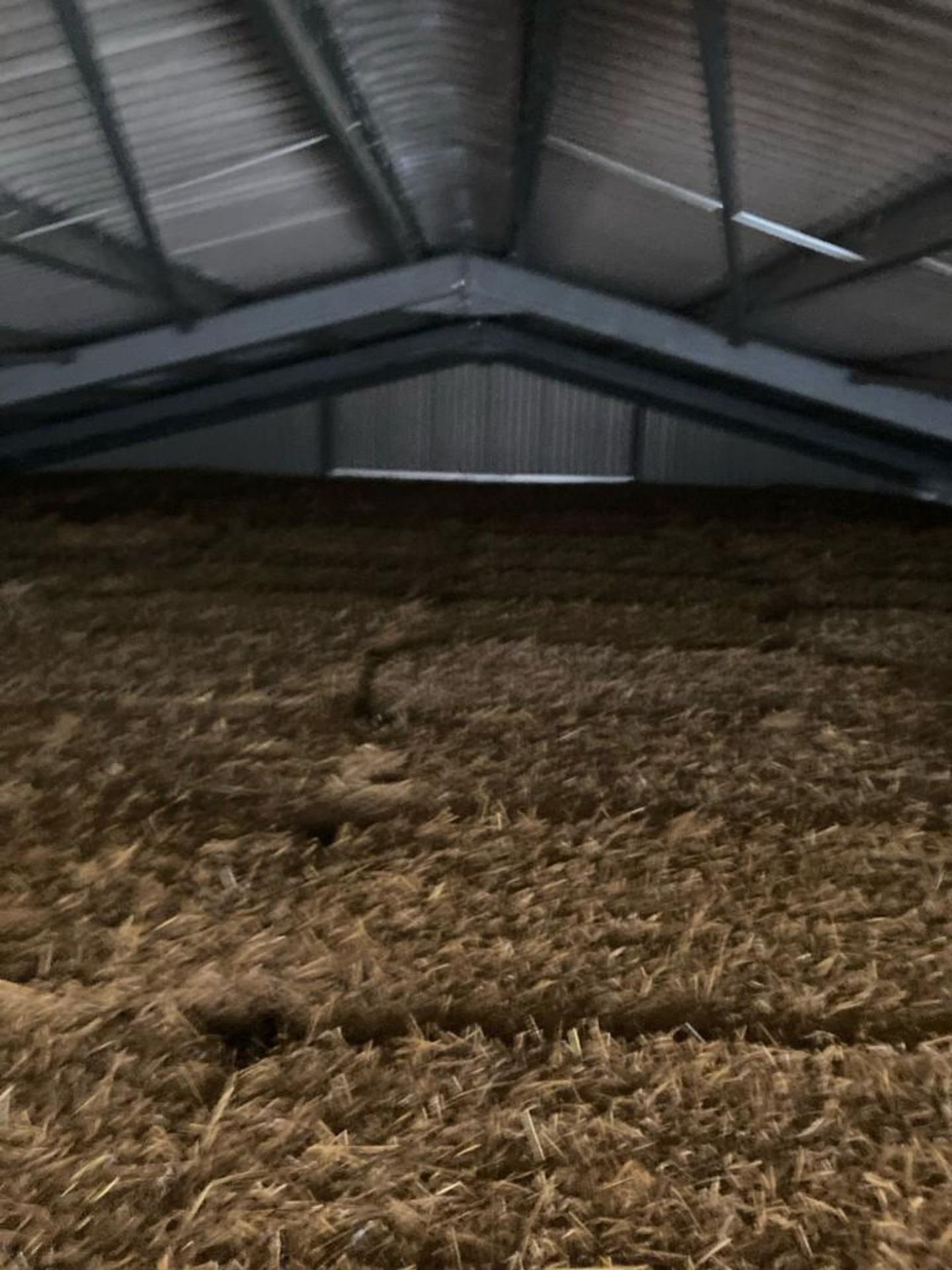 144 Bales of 2021 Wheat Straw - Image 3 of 4