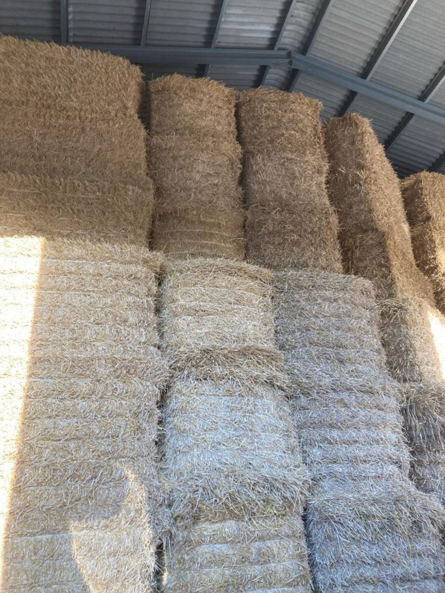 72 Bales of 2021 Wheat Straw