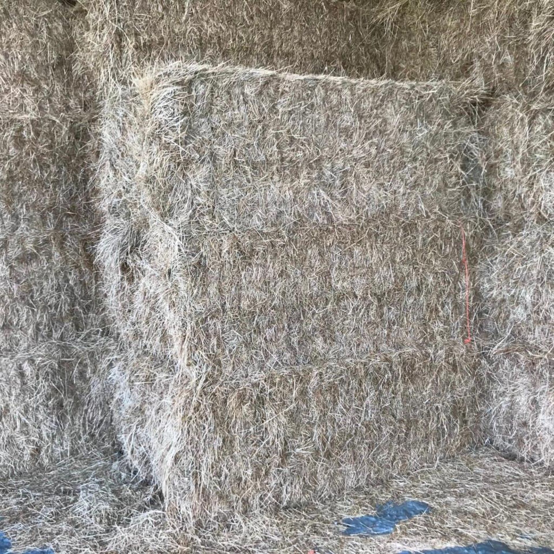 40 Heston Bales of Hay - Image 12 of 12