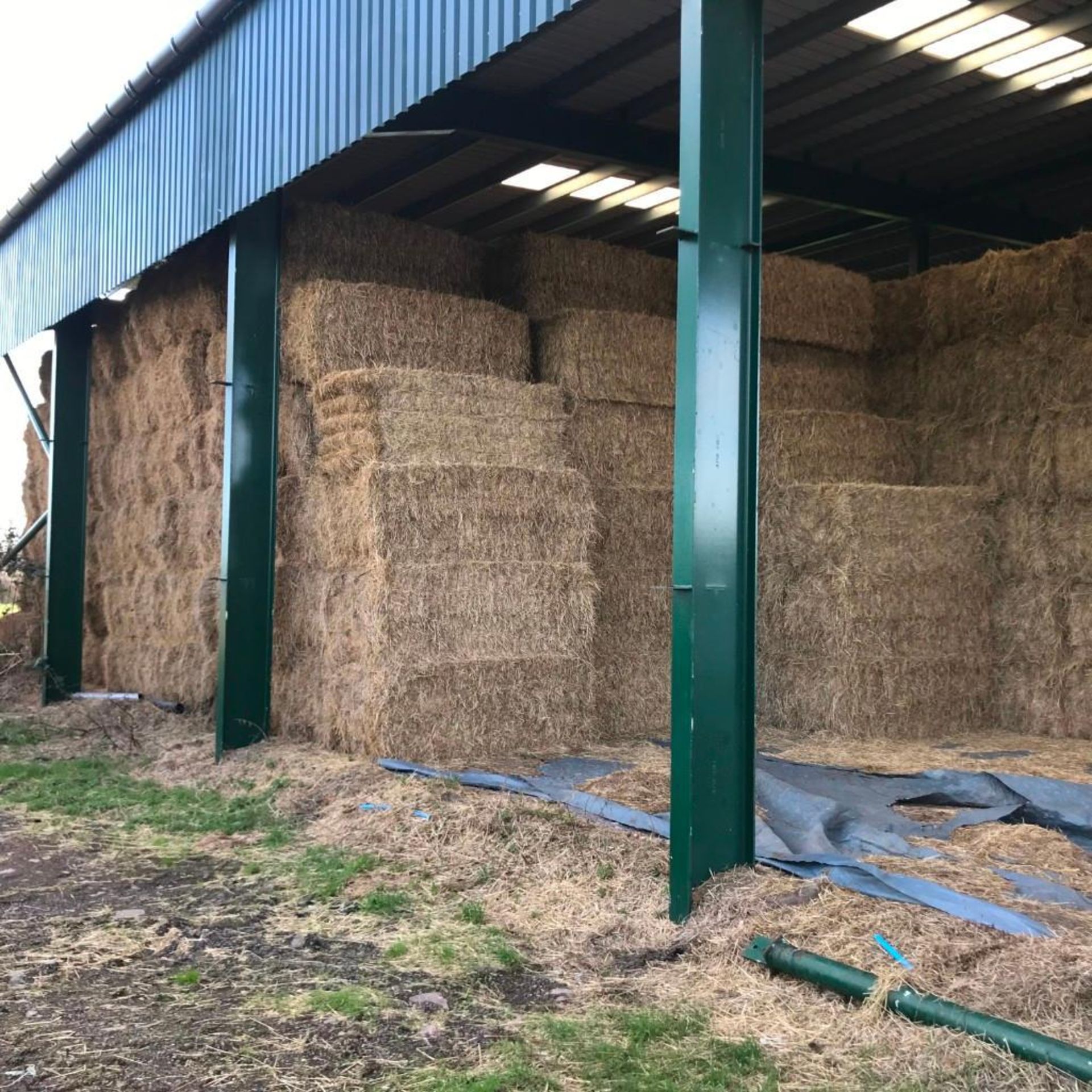 40 Heston Bales of Hay