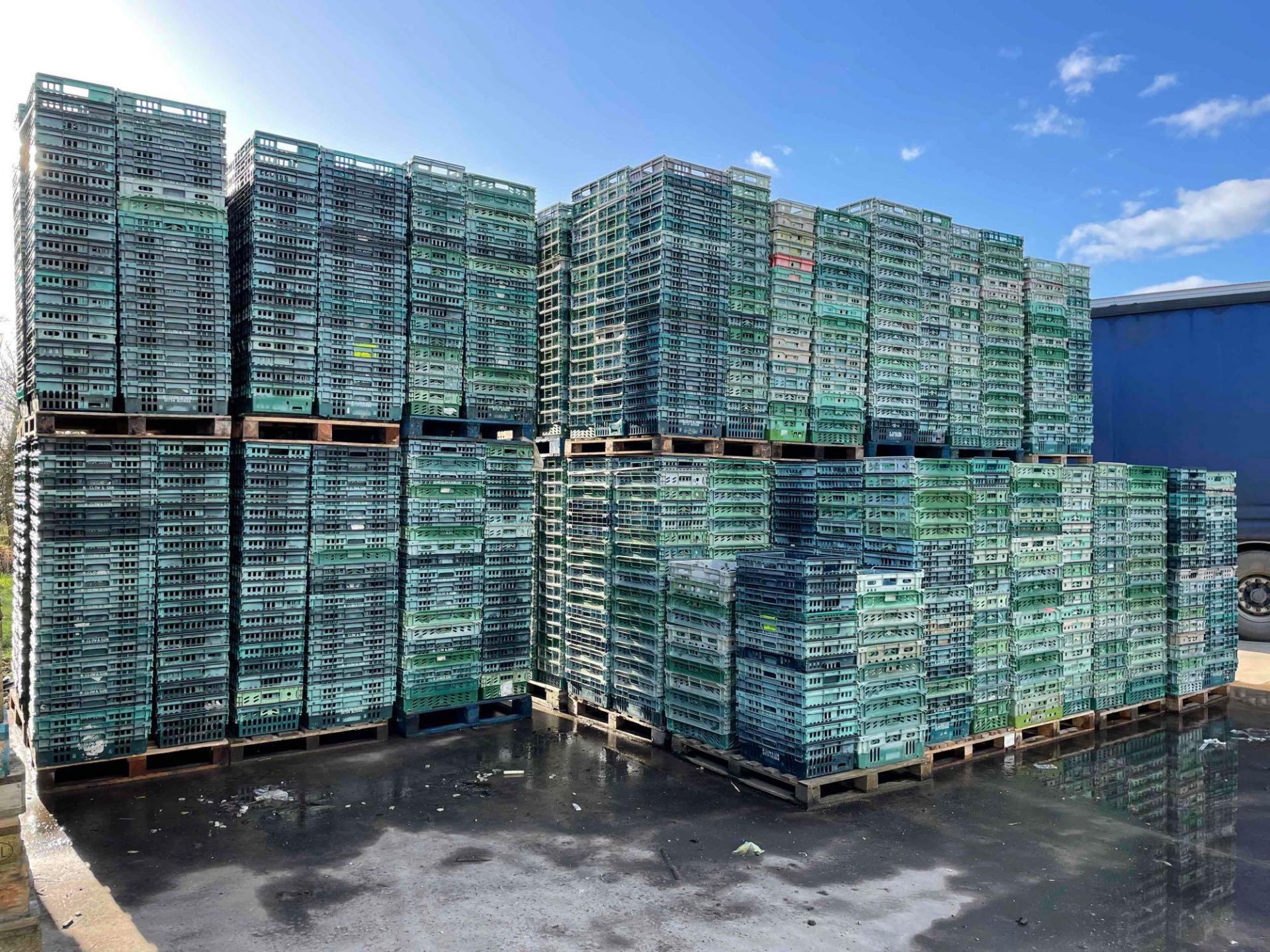 Quantity green plastic crates (approx. 1900) - Image 2 of 3