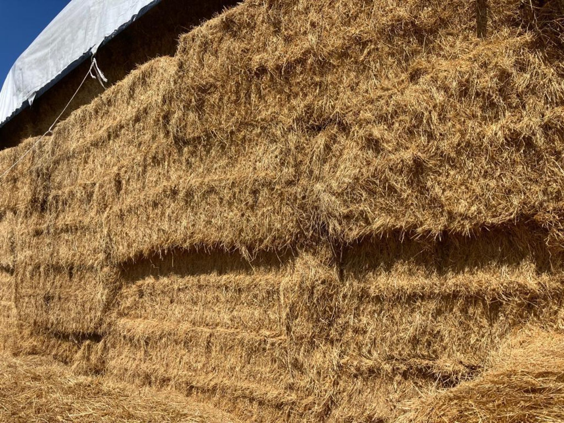 Approx 600 x 2021 Rough Hay Bales - Image 2 of 2