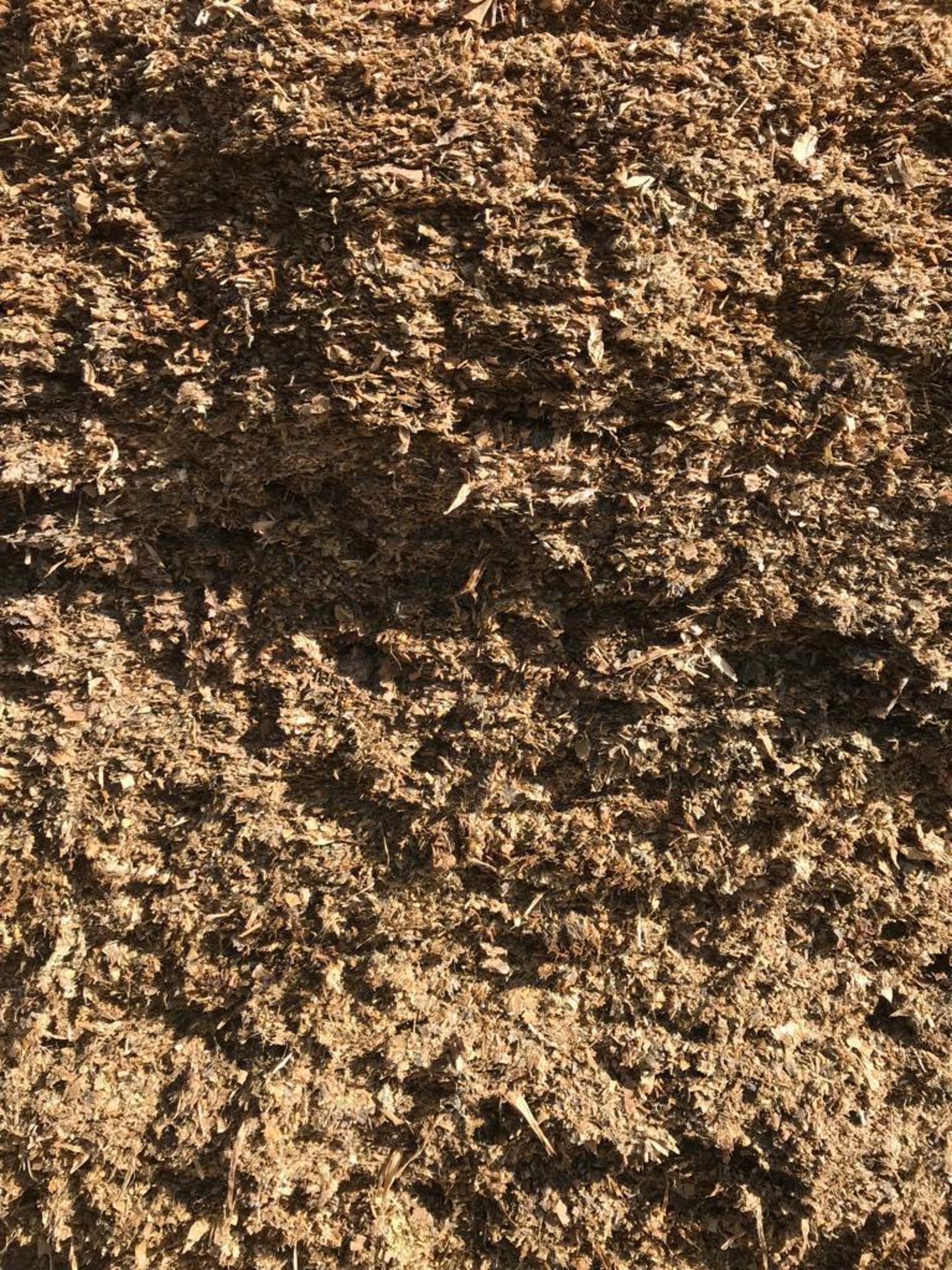 Circa 90T Maize Silage - Image 2 of 3