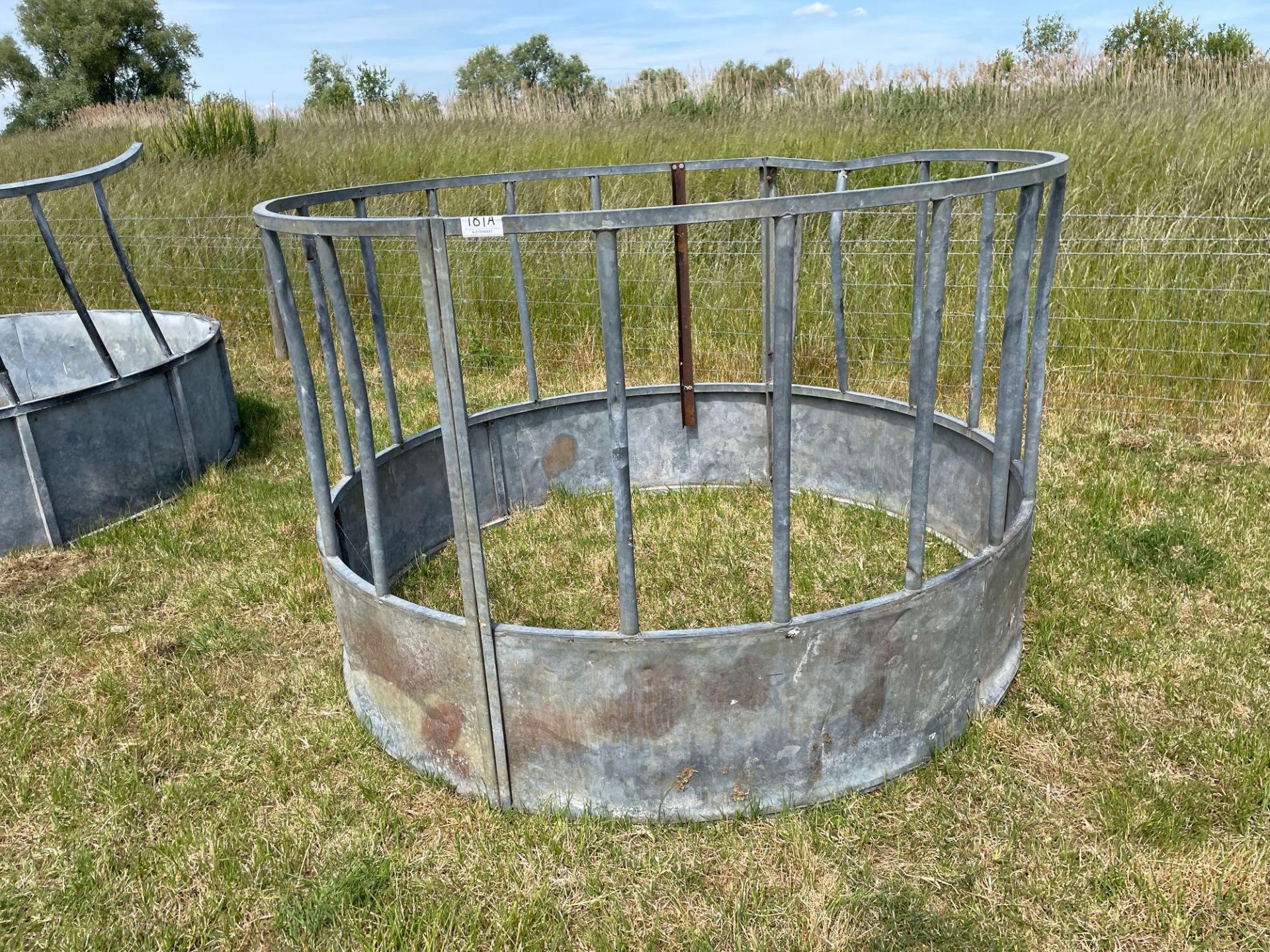 Cattle ring feeder