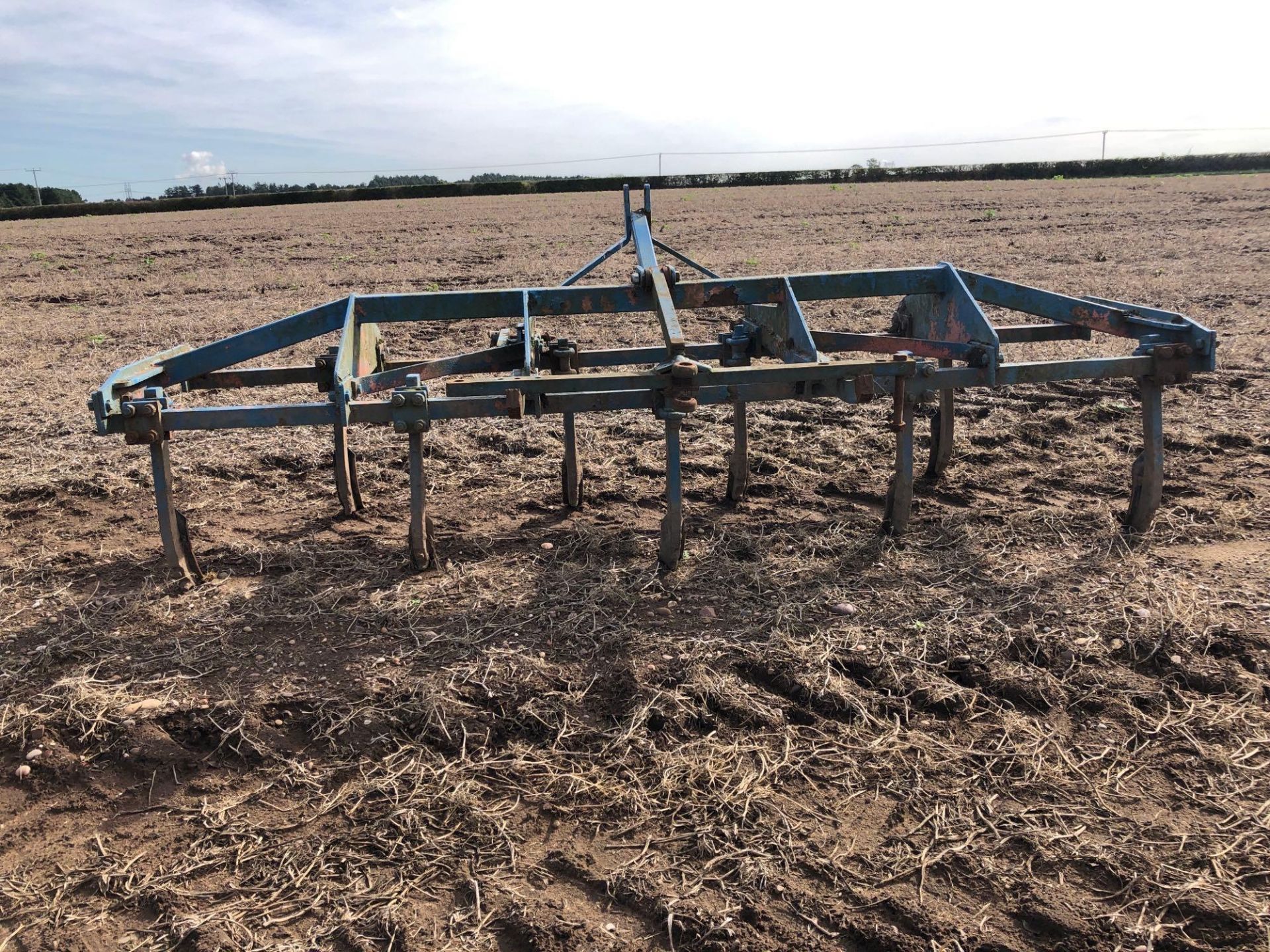 Nicholson 3m 9 leg fixed tine cultivator with rear drawbar - Image 3 of 3