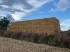 320 x 2022 Barley Straw Bales, Quadrants