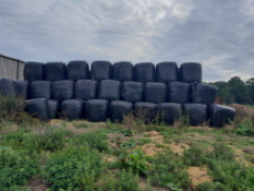 22 x 2021 Wrapped Round Bale Silage
