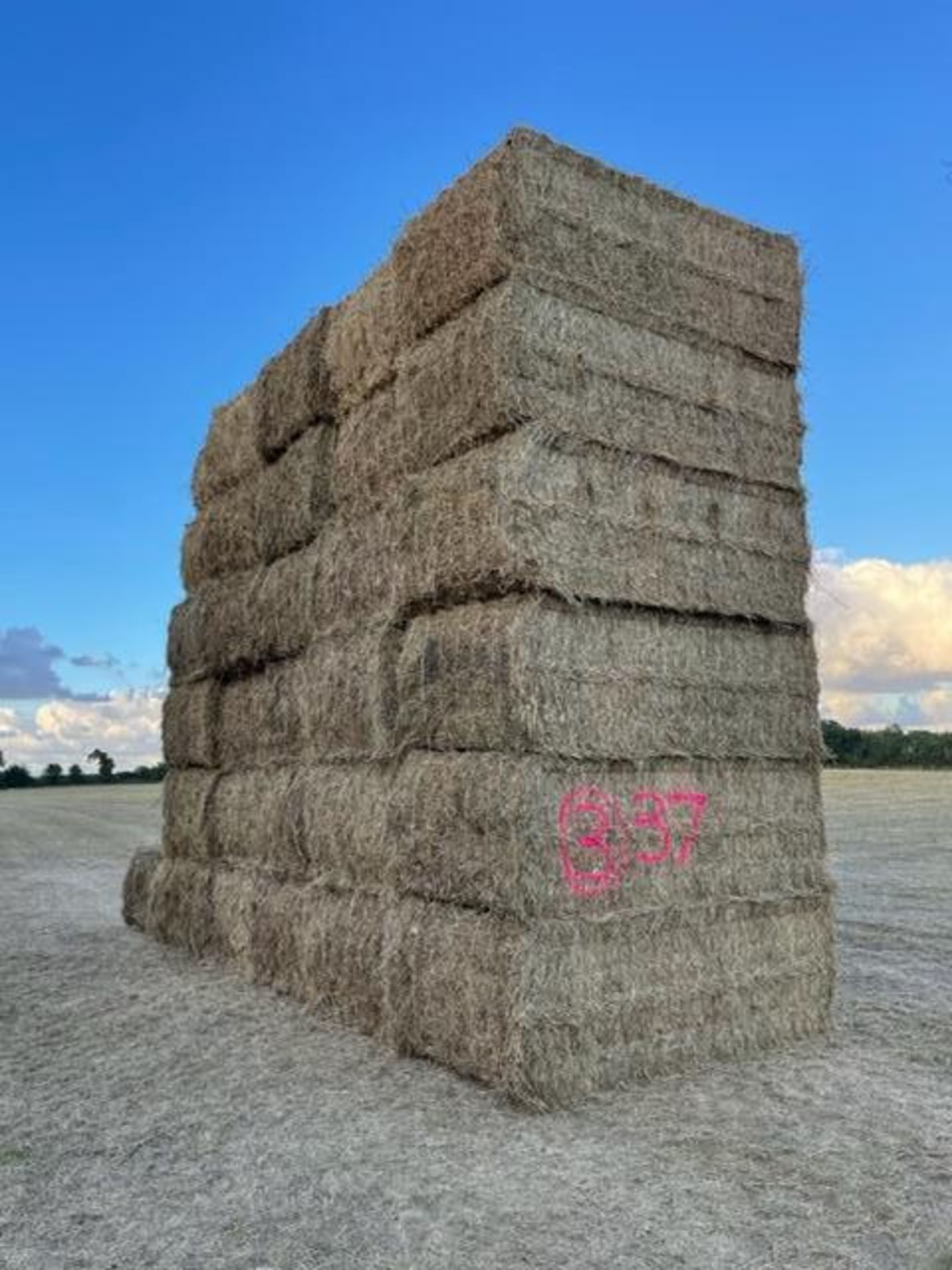 37 x 2022 Mini Heston Hay From Organic AB8