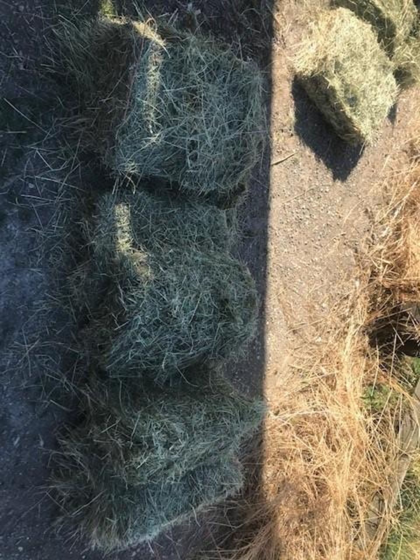 200 x 2021 Small Square Baled Hay - Image 2 of 3