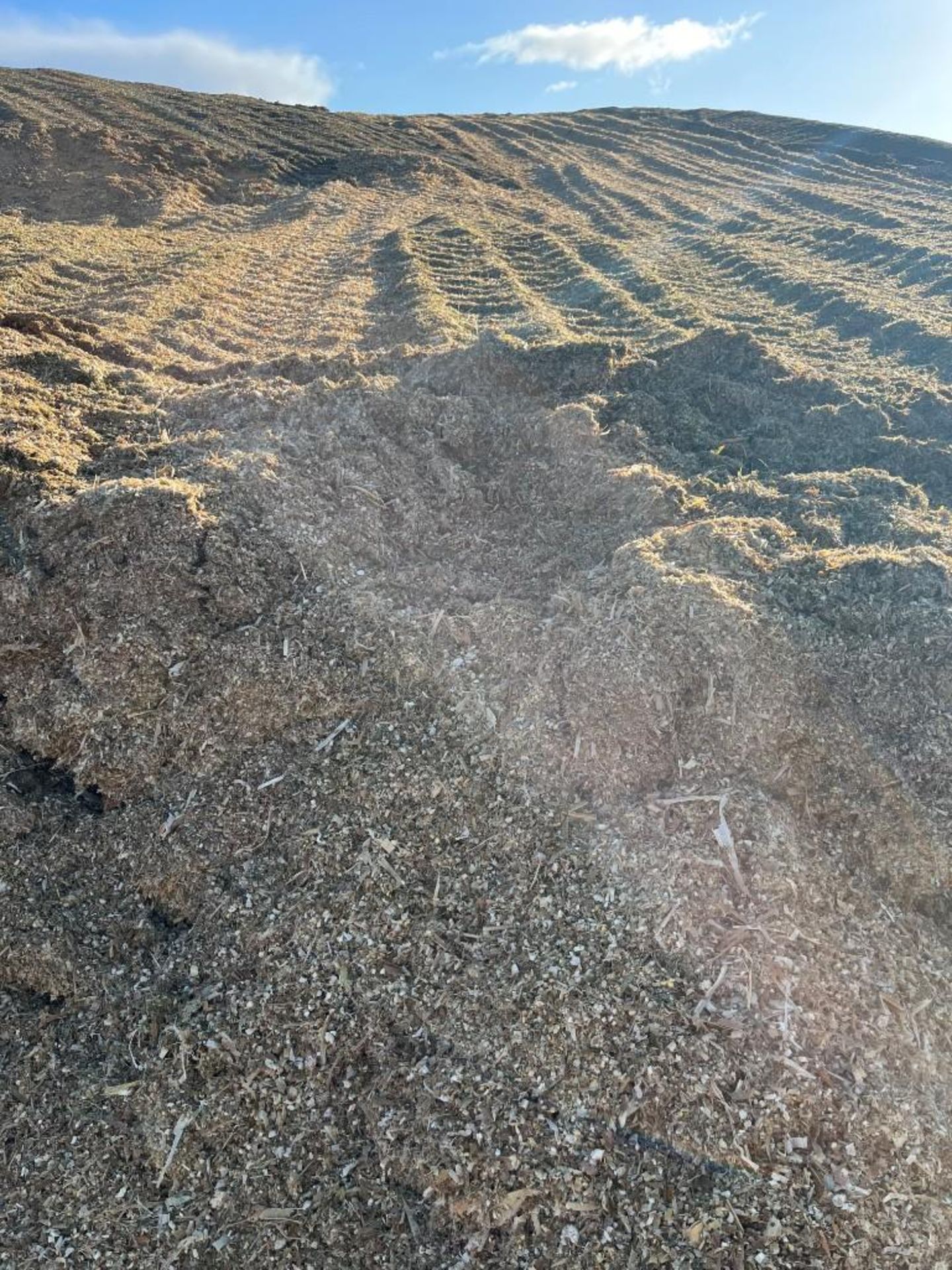 200T x 2022 Maize Silage in Clamp - Image 2 of 3