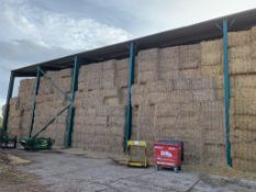 1000 x 2021 Mixed Straw, Quadrants