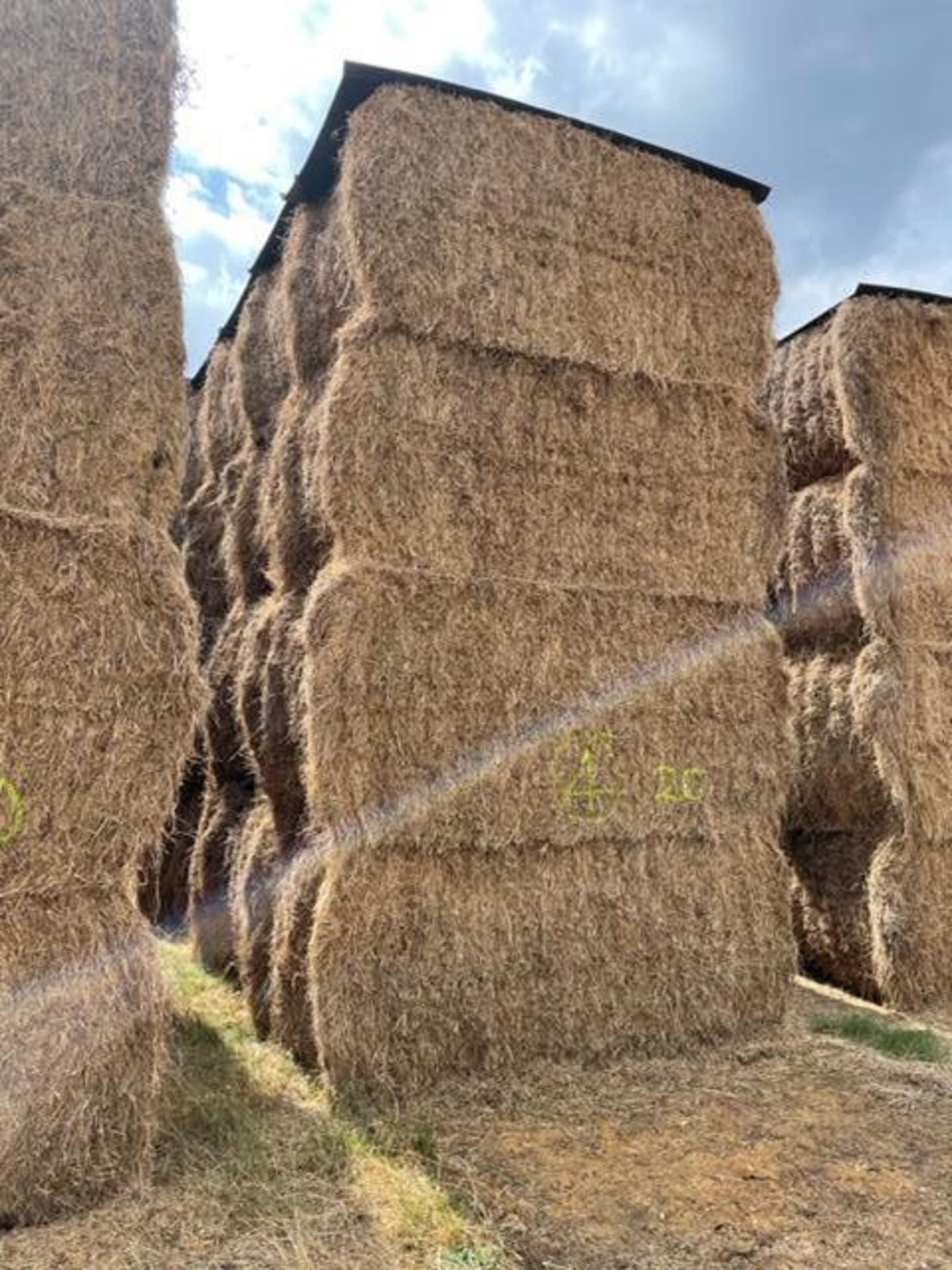 20 x 2021 Hay From Organic AB8