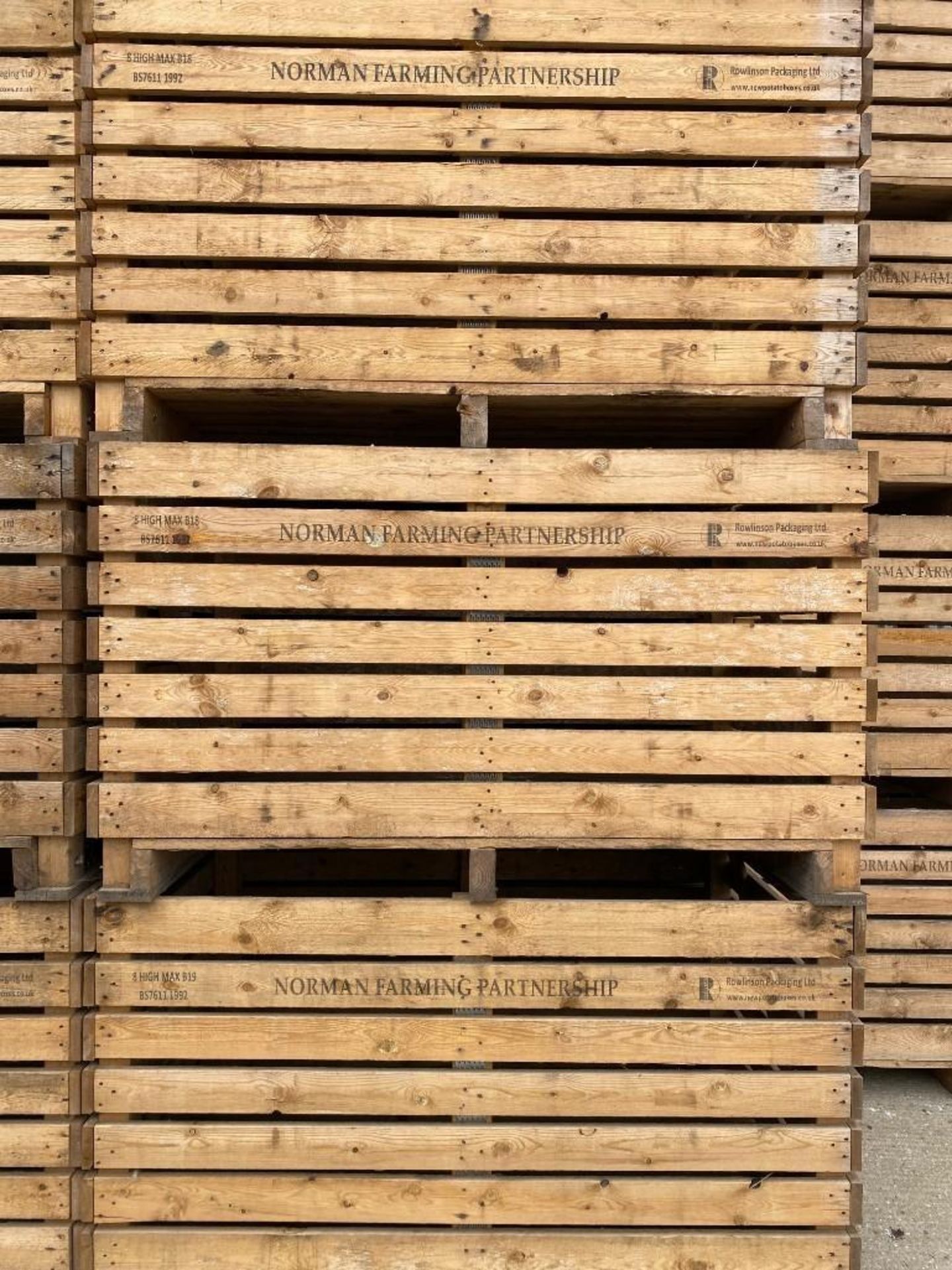 2019 280 x 1.25T Potato Boxes