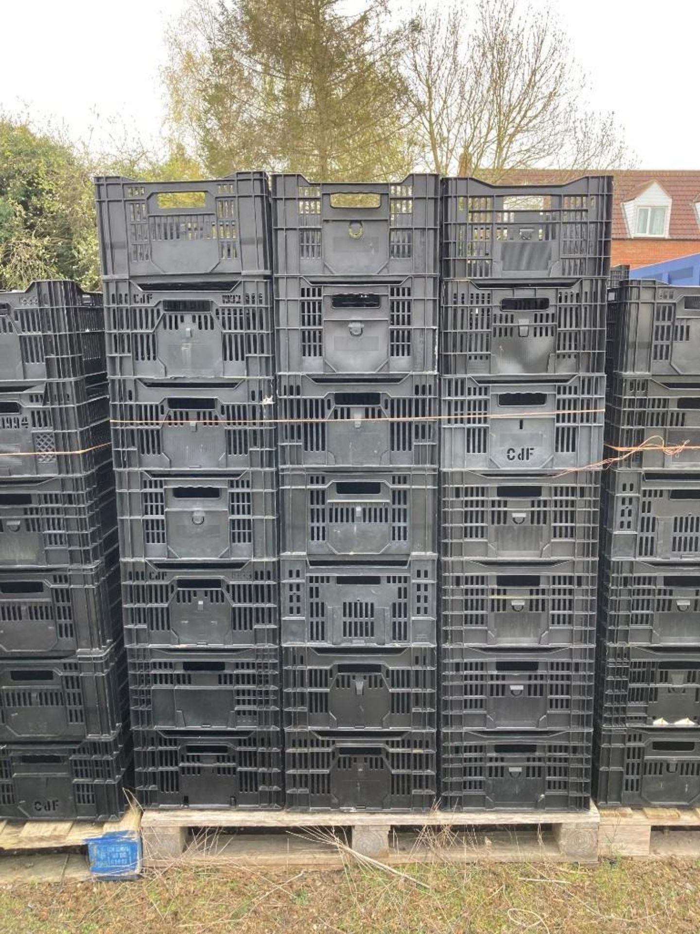 1000 No. Used Black Plastic Lily Crates - Image 4 of 4