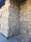 100 x 2021 Small Square Baled Hay