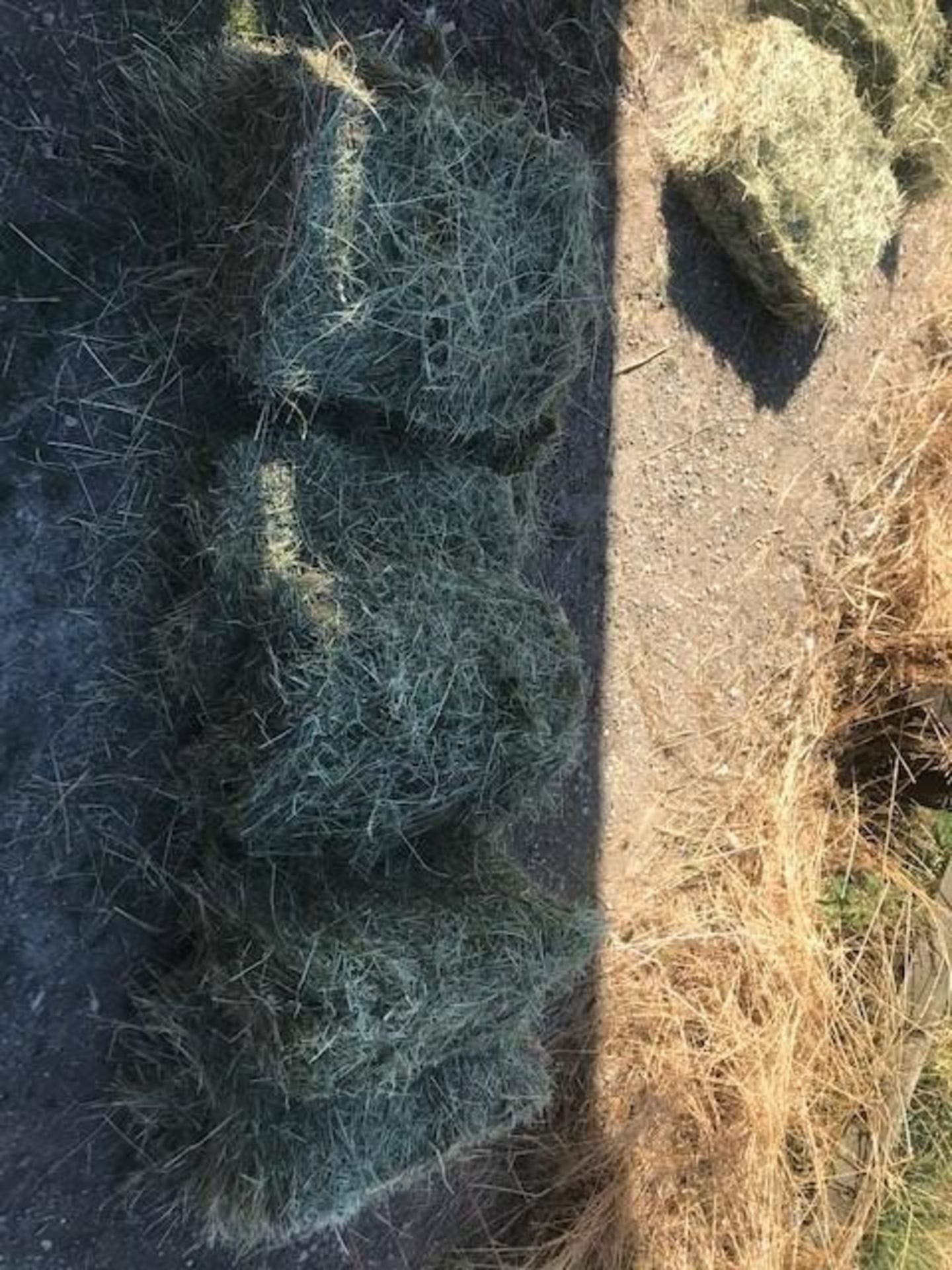100 x 2021 Small Square Baled Hay - Image 2 of 3