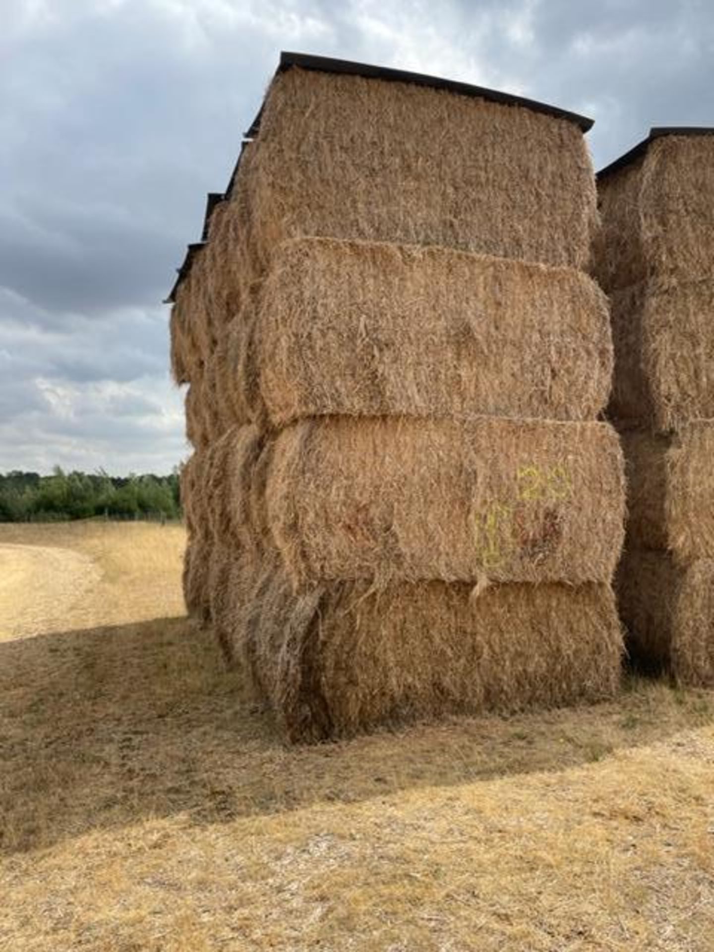 20 x 2021 Hay From Organic AB8