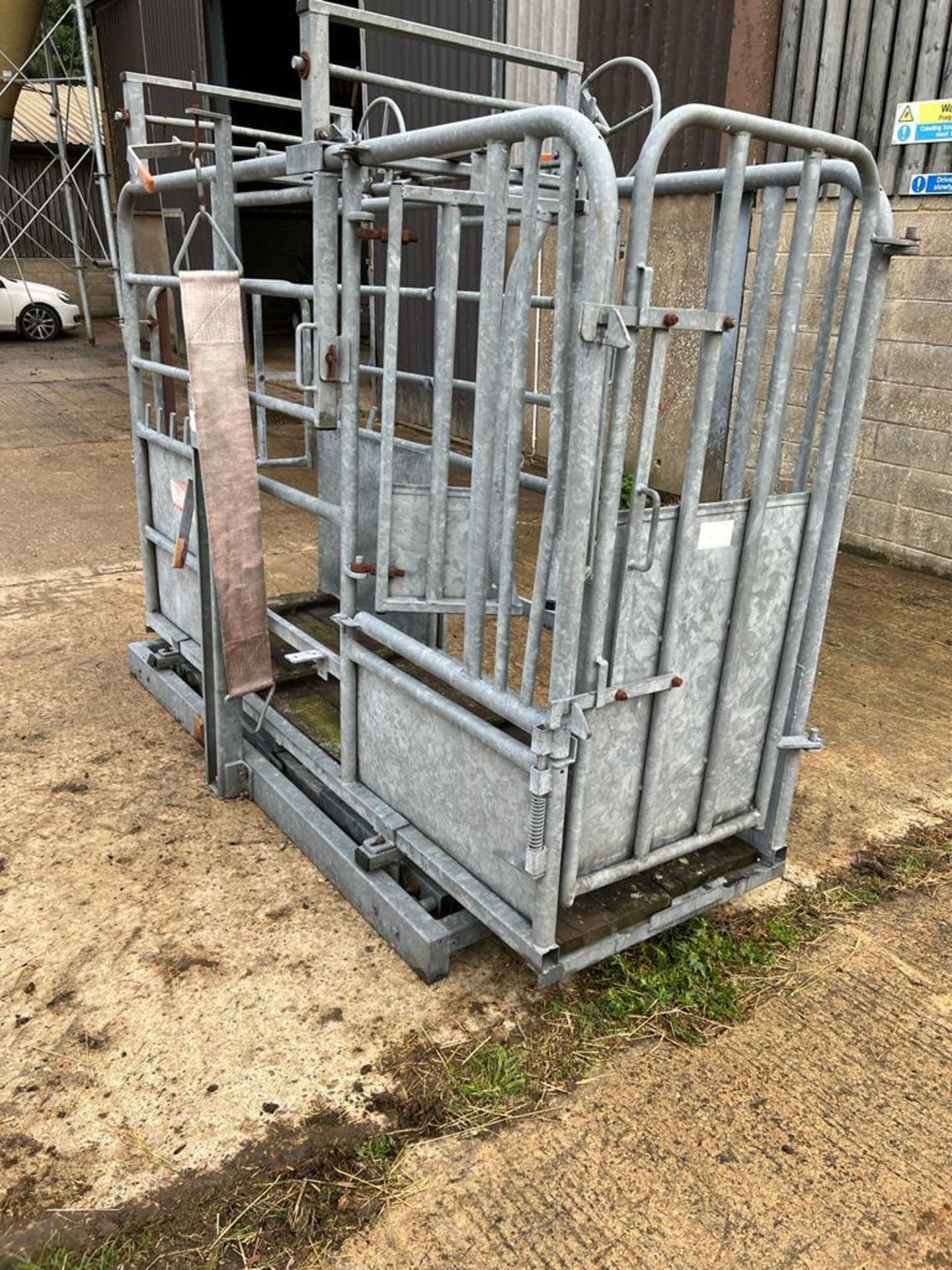 Bateman Cattle Crush and Weigher