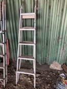 Galvanised steps