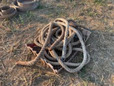 Quantity climbing ropes