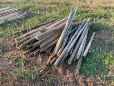 Quantity wooden fencing stakes