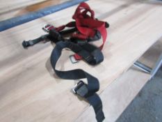 2 POINT SAFETY HARNESS (DIRECT GAP) [+ VAT]