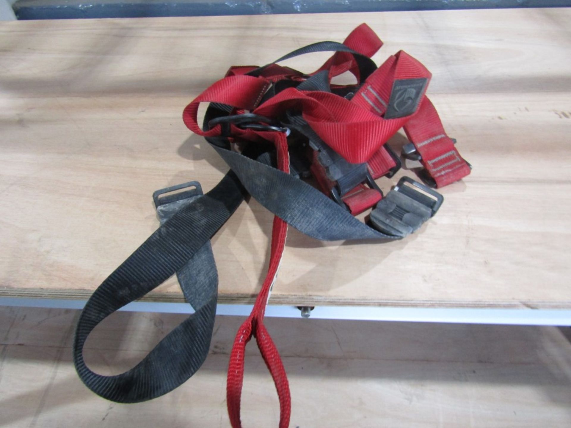 2 POINT SAFETY HARNESS (DIRECT GAP) [+ VAT]