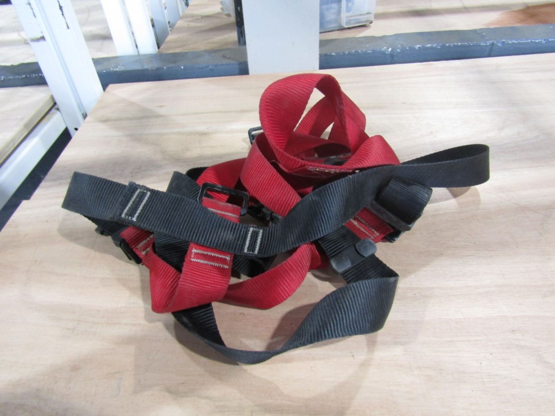 RESCUE HARNESS (DIRECT GAP) [+ VAT]