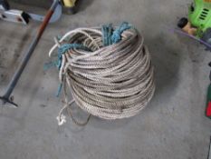 COIL OF ROPE [NO VAT]