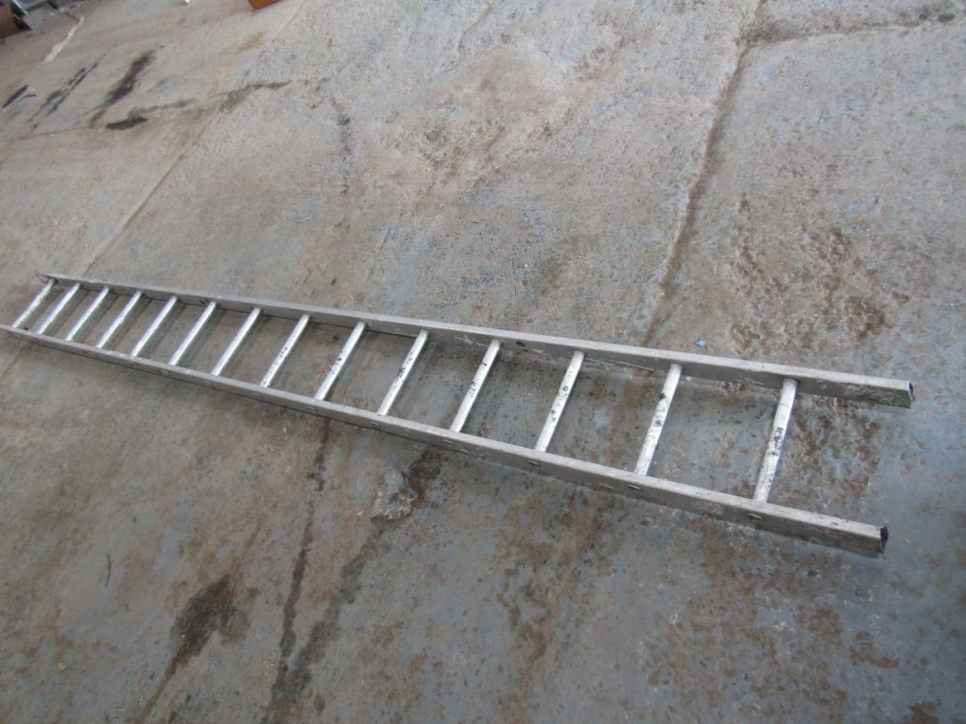 ALUMINIUM LADDER [NO VAT]