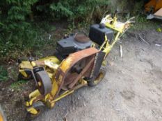 GREAT DANE MOWER (DIRECT COUNCIL) (NO KEYS) [+ VAT]