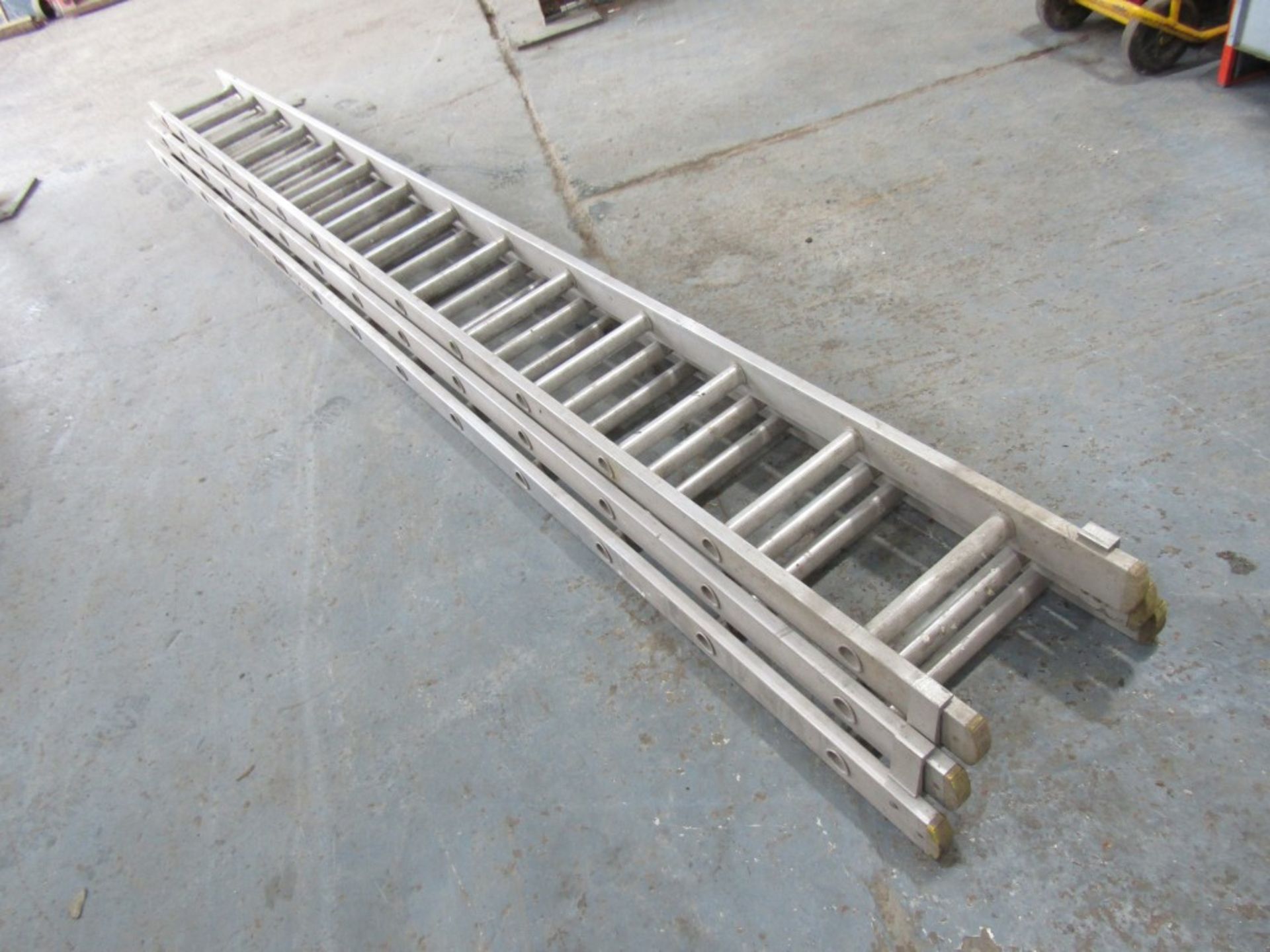 THREE SECTION ALLY LADDER - 12FT EACH SECTION [NO VAT]