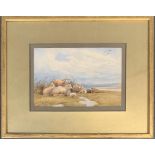 19th century watercolour, sheep on a moor, 15x23cm