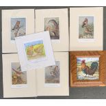 Five mounted prints of birds, together with a watercolour of a cockerel by Lesley King and other