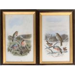 A pair of Victorian bird studies on glass, each 28.5x17cm