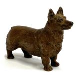 A 19th century Austrian Bergman style cold painted bronze of a corgi, 7cmH