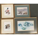 A collection of 9 prints mainly of ducks, to include a signed prints by Archibald Thorburn; David