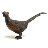 A 19th century Austrian Bergman style cold painted bronze of a pheasant, approx. 5cmH
