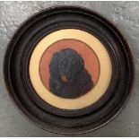 An early 20th century study of a setter holding mistletoe in ebonised circular frame, approx. 8cmD