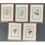 A set of five lepidoptery interest colour prints by Leighton Bros., each 22x14.5cm approx