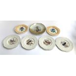Two Coalport floral plates, 'Iris' and 'Convolvulus'; together with four Royal Cauldon bird plates