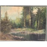 20th century oil on canvas, woodland scene, signed indistinctly lower right, 60x80cm