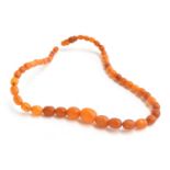 A graduated amber bead necklace, with an amber barrel clasp, approx. 8g, 40cm long